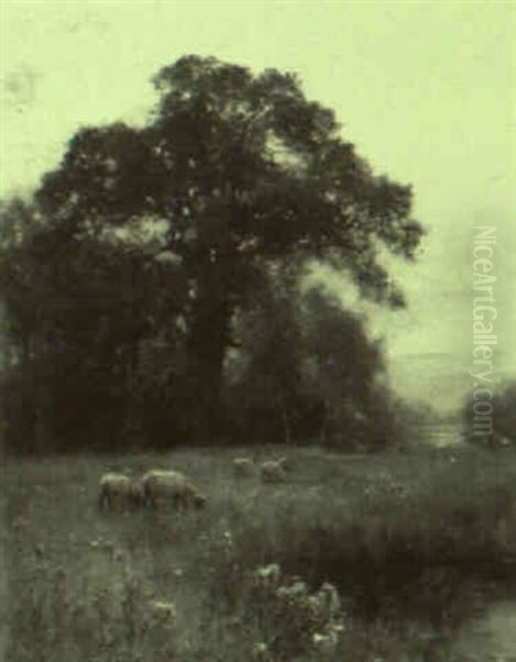 Landscape With Sheep - view 1