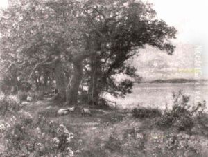 Sheep Grazing In A Field thumbnail