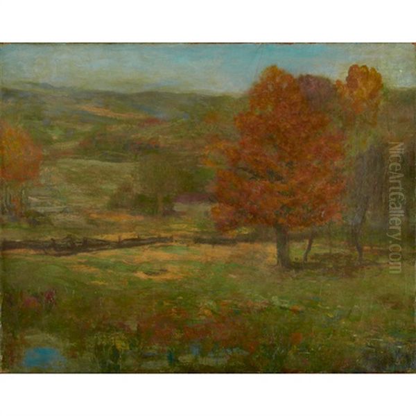 Landscape - view 1