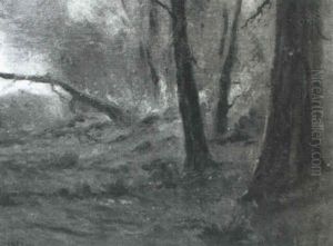 Forest Fire by Paul Bernard King