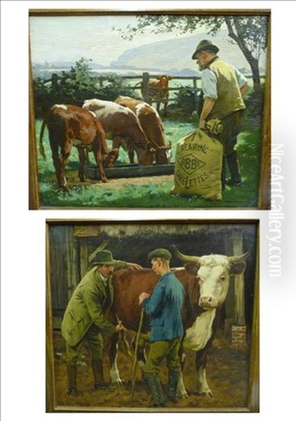 Feeding The Calves; The Vet - view 1