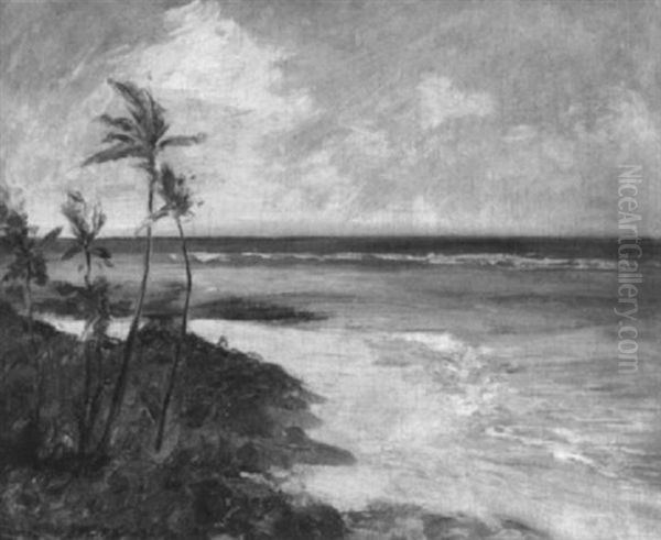 Crane Beach, Barbados - view 1