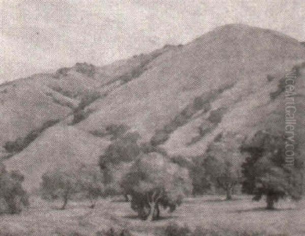 California Hills - view 1