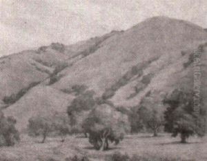 California Hills California Hills