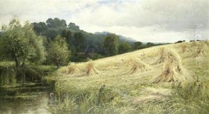 A Cornfield Near Pangbourne