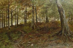 Heaning Wood, Yorkshire by Henry John Kinnaird