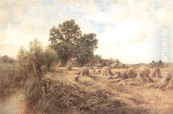 A Surrey Cornfield - view 1