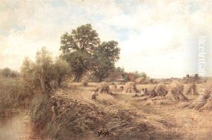 A Surrey Cornfield