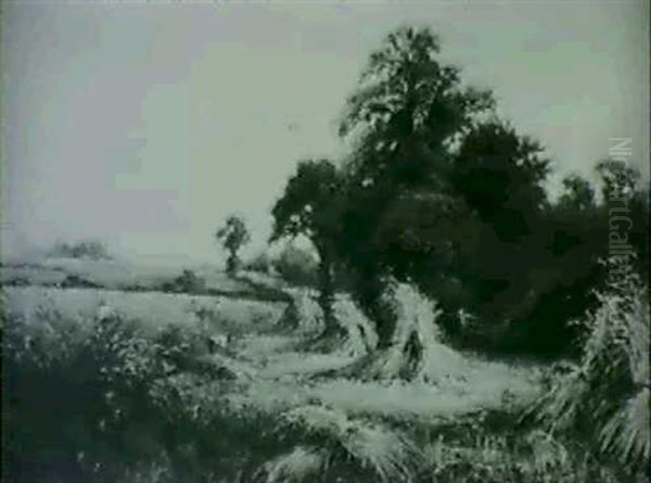 Harvesting - view 1
