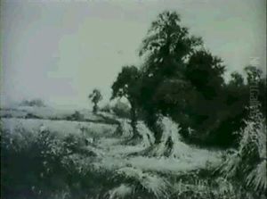 Harvesting