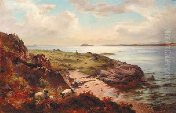 A Shepherd With His Flock On The Scottish Coast - view 1