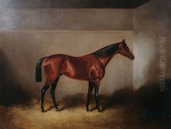 Horse In A Stable - view 1