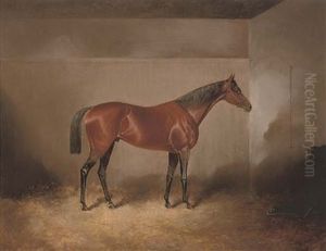 A Bay Hunter In A Stable by James S. Kinnear