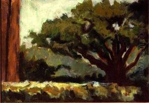 Live Oak By The Old Barn