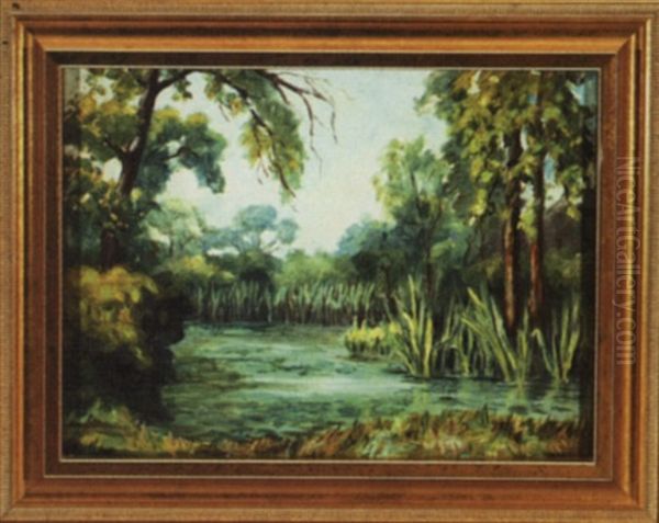 Louisiana Swamp - view 1