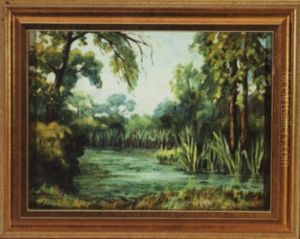 Louisiana Swamp