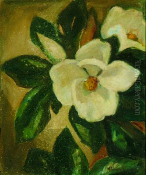 Magnolia - view 1
