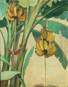 Banana Trees