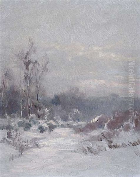 Winterlandschaft - view 1