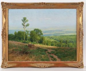 Sommerliche Landschaft Mit Blick In Die Mainebene