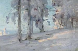 Heller Winterwald