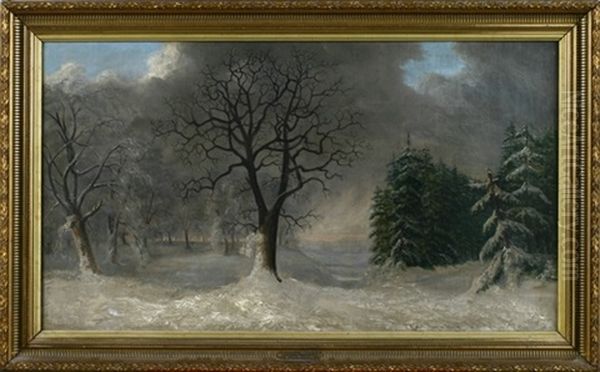Winterwald Mit Eichen Und Tannen Mit Weitem Blick In Die (main?) Ebene - view 1