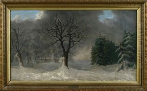 Winterwald Mit Eichen Und Tannen Mit Weitem Blick In Die (main?) Ebene Winterwald Mit Eichen Und Tannen Mit Weitem Blick In Die (main?) Ebene