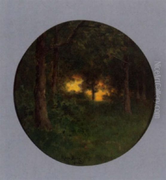 Waldlichtung In Abendstimmung - view 1