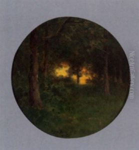Waldlichtung In Abendstimmung