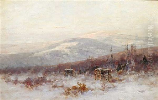 Log-piles In A Sunlit Winter Landscape - view 1