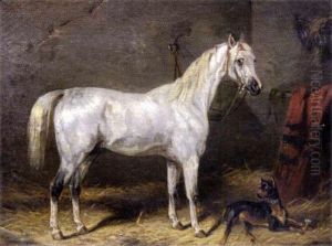 Chien Et Cheval A L'ecurie