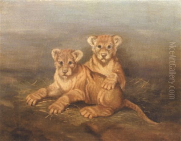 Lionceaux - view 1