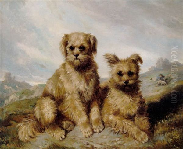 Hunde I Landskab - view 1