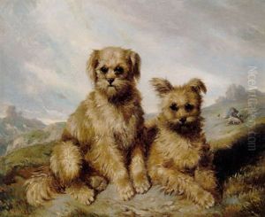 Hunde I Landskab Hunde I Landskab