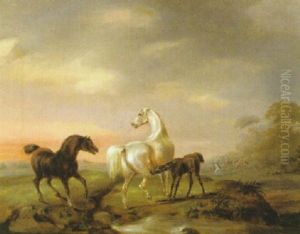 Landskap Med Vildhastar