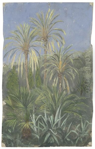 Palmenhain - view 1