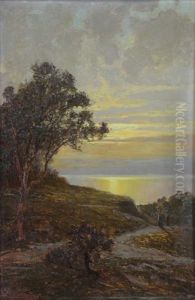 Sunset Landscape by Alexander Kircher