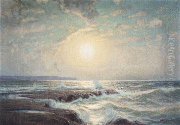 Sunlit Coastal Surf - view 1
