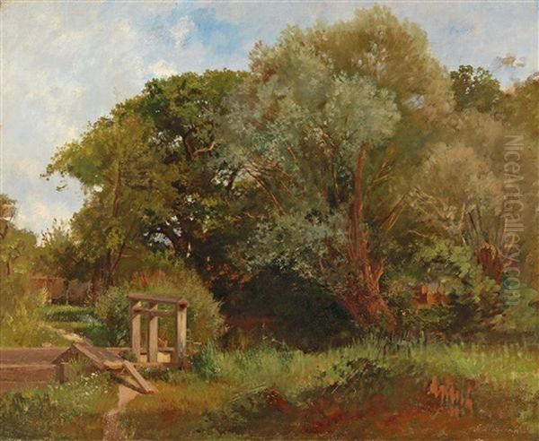 By The Mill Weir - view 1