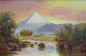 Mt Egmont Sunset by Henry William Kirkwood