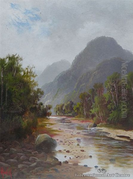 Motueka River, Nelson - view 1
