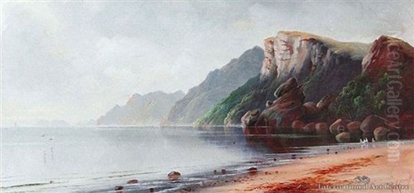 Cliffs, Mercury Island - view 1