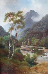 Trout Fishing