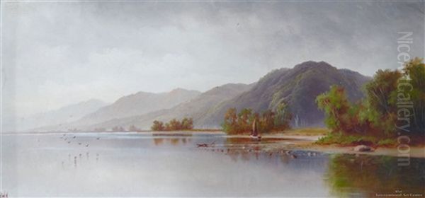 Lake Rotoiti, Nelson Lake - view 1