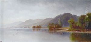 Lake Rotoiti, Nelson Lake