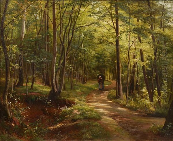In The Forest - view 1
