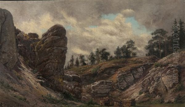 Na Kraji Lesa - view 1