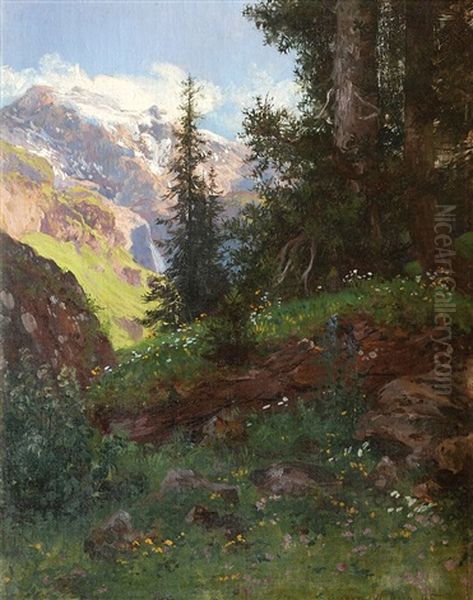 Alpine - view 1
