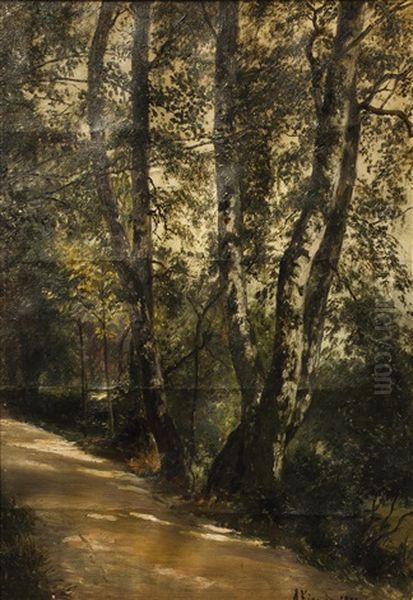 Birken Am Weg - view 1