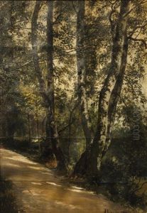 Birken Am Weg